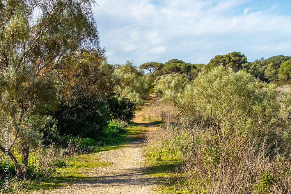 El Puerto de Santa María - Puerto Real / Naturpark der Bucht von Cádiz
