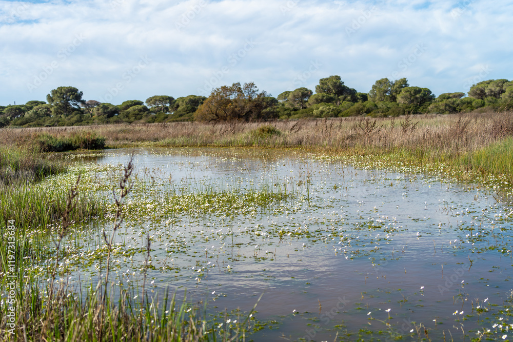 El Puerto de Santa María - Puerto Real / Naturpark der Bucht von Cádiz