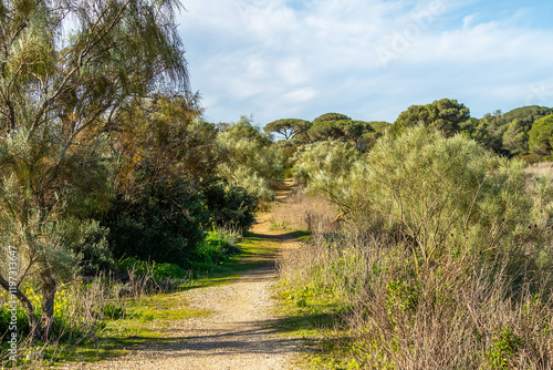 Obraz na płótnie El Puerto de Santa María - Puerto Real / Naturpark der Bucht von Cádiz w salonie