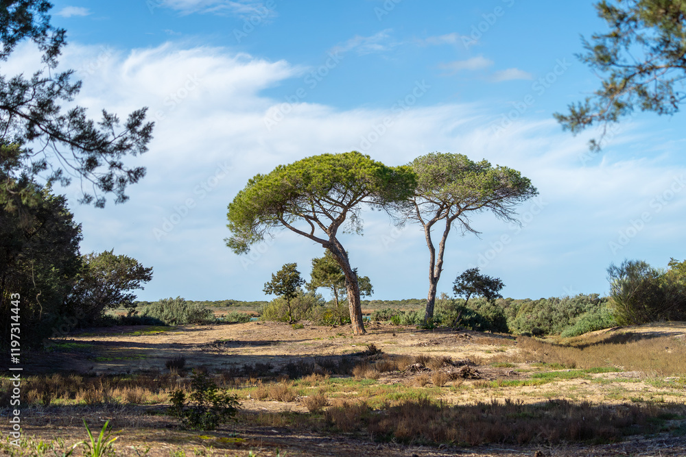 El Puerto de Santa María - Puerto Real / Naturpark der Bucht von Cádiz