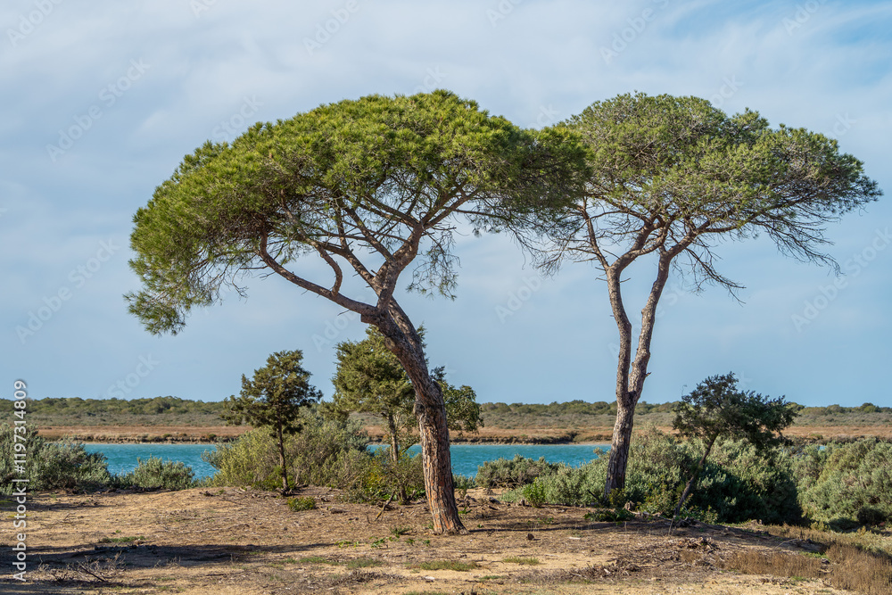 El Puerto de Santa María - Puerto Real / Naturpark der Bucht von Cádiz