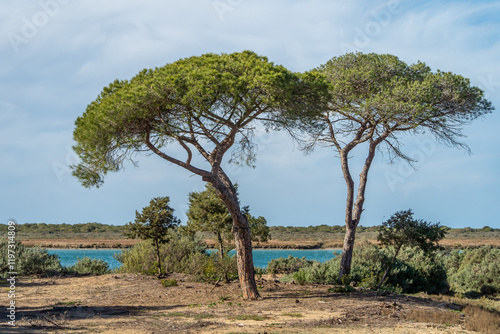 El Puerto de Santa María - Puerto Real / Naturpark der Bucht von Cádiz
