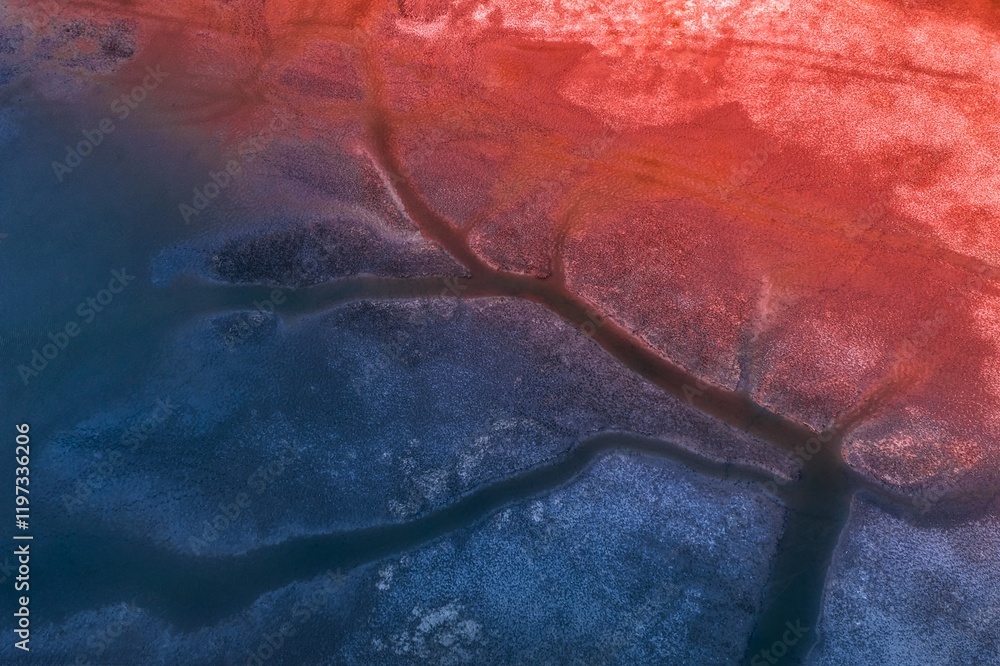 Naklejka premium Exploring the vibrant ecological landscape of Yellow Sea Wetland during sunset with stunning colors