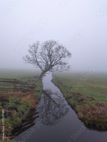 A lonely tree growing atop of a canal in a foggy field. 