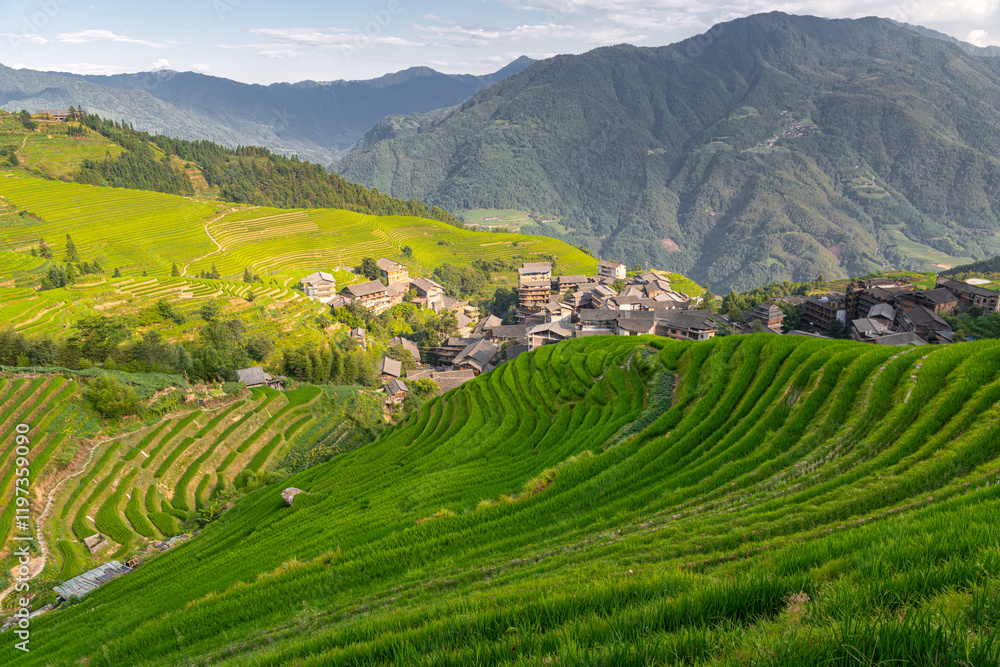Fototapeta premium Guilin City, Guangxi Zhuang Autonomous Region-Longji Rice Terraces