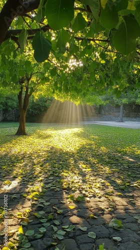 Sunlight filters through leaves creating patterns on a stone pathway in a ser...
