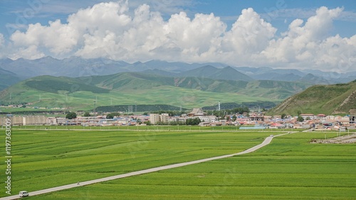 Stunning rural scenery of Qinghai Menyuan showcases lush green fields under a bright blue sky with distant mountains photo