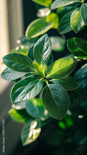 Lush green leaves showcasing vibrant textures and patterns in a natural setti...