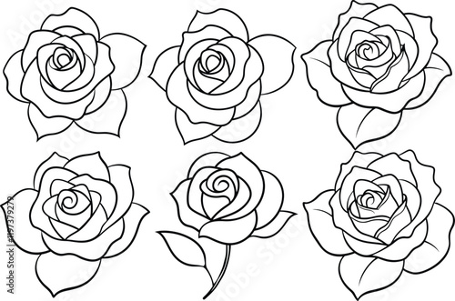 Set of Rose flower shillouette vector illustration