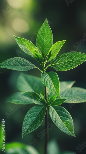Lush green leaves showcasing vibrant textures and patterns in a natural setti...