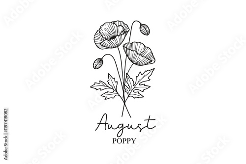 August Birth Month Flowers Line Art