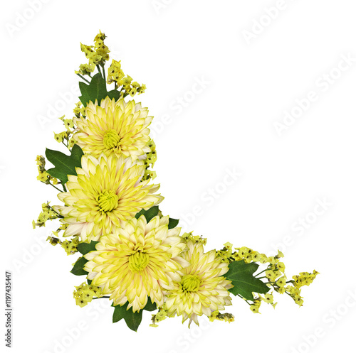 Yellow limonium flowers and chrysanthemums in a corner floral arrangement isolated on white or transparent background photo