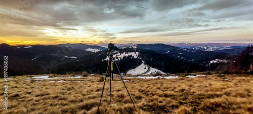 Landscapes - Forest - Europe, Romania, Suceava region