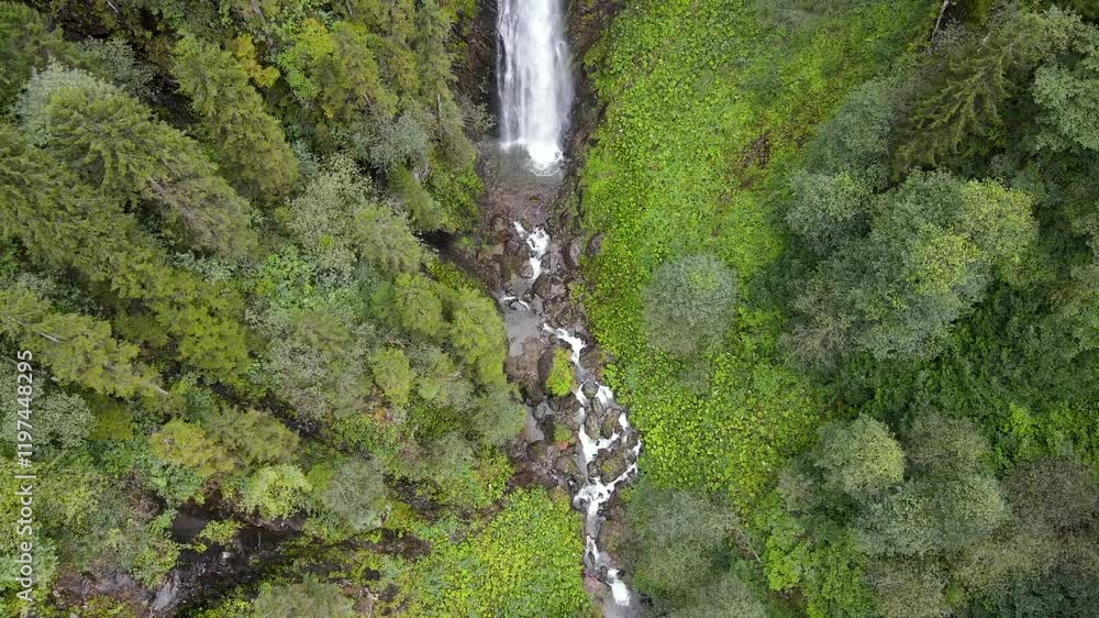 Mountains, forests, trees. Pine, cedar, hornbeam forests. A natural view of untouched mountains with rivers and waterfalls flowing through them. Mountains, forests, trees. Pine, cedar, hornbeam forests. A natural view of untouched mountains with rivers and waterfalls flowing through them.