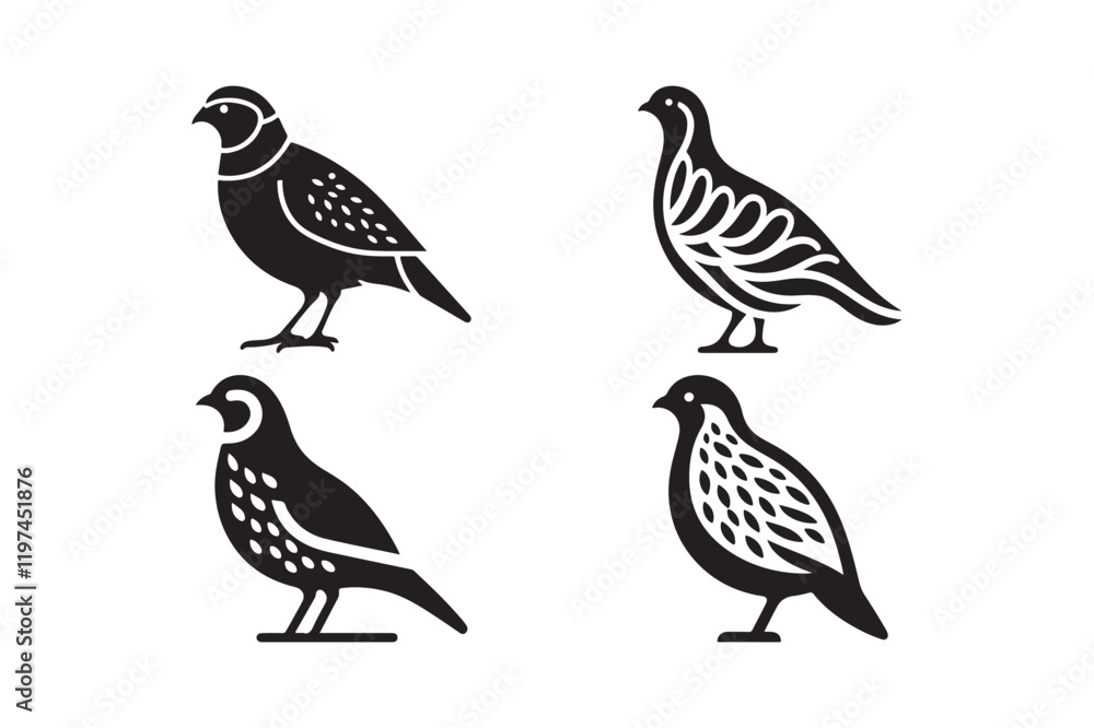 Black and White Quail Illustrations in Vector Style Black and White Quail Illustrations in Vector Style