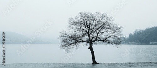Lonely bare tree silhouetted against a foggy lake under gray skies, featuring tranquil water reflections and ample copyspace for design elements.