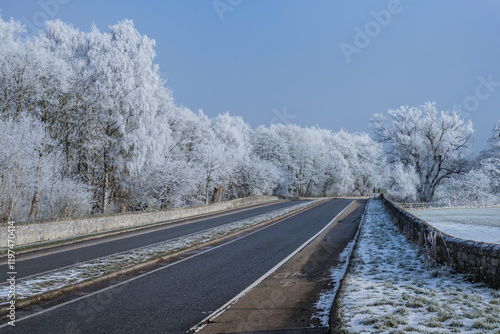 Frosty trees along a main road