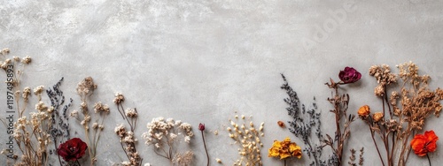 Dried flowers arranged on a gray background with copy space for text placement photo