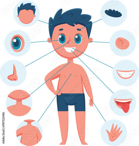 Educational anatomy infographic showing a smiling boy with lines pointing to different body parts, including hair, eye, ear, nose, neck, chest, belly, mouth, teeth, tongue and hand