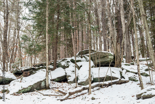 the winter landscape of willard brook state forest photo