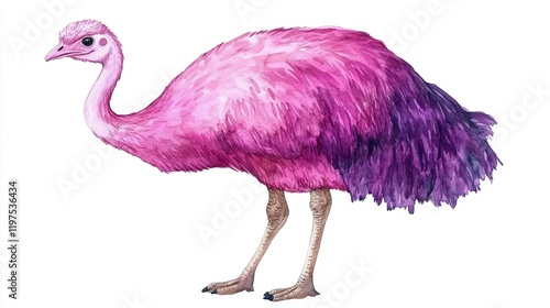 Vibrant Pink Ostrich Illustration with Detailed Feather Texture photo