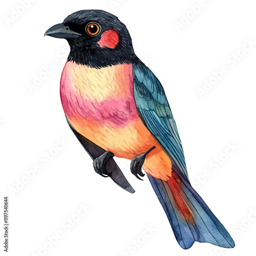 A watercolor clipart of a trogon, isolated on a white background. Bird vector.
