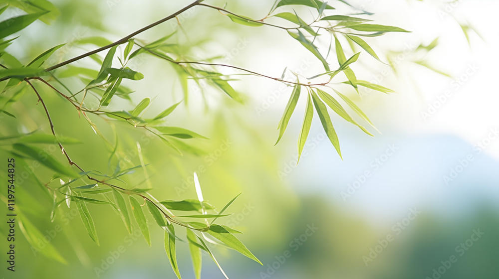 Obraz premium Delicate willow branches in fresh green, soft morning light, serene and minimalist Qingming Festival scene.
