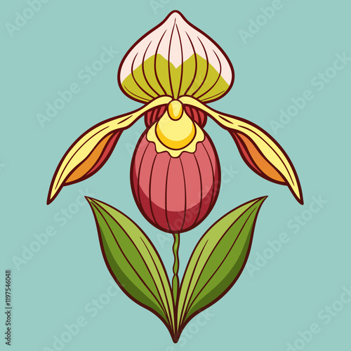 orchid flower vector