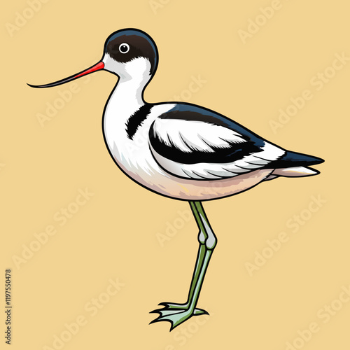 pied avocet on the beach