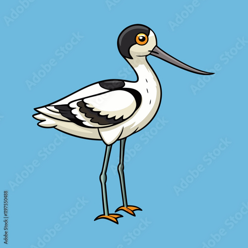 pied avocet on the beach