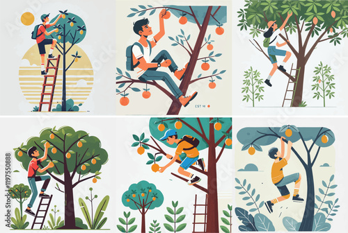 Vector set of a teenager climbing a tree to pick fruit with a simple and minimalist flat design style, white background