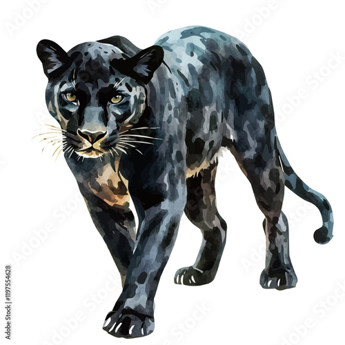 A watercolor of a panther, isolated on a white background. Panther vector.
