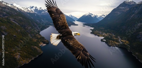 Majestic eagle soaring high in the sky with mountains and rivers below symbolizing freedom, perspective, and finding one s direction photo