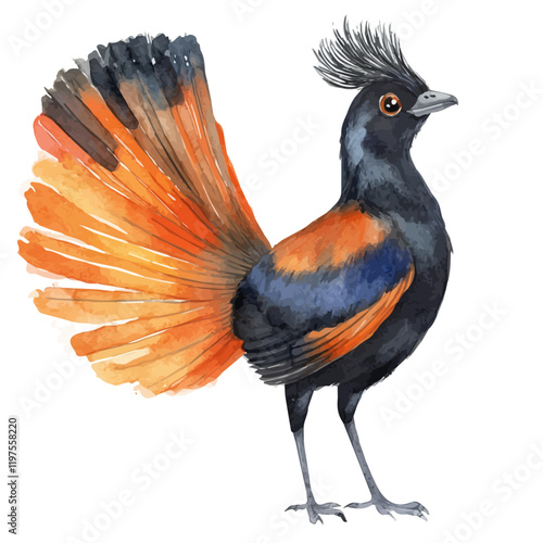 A watercolor vector of a lyrebird, isolated on a white background. Lyrebird vector.
