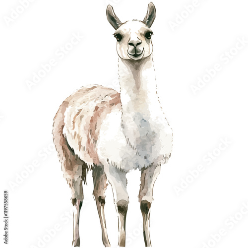 A watercolor clipart of a llama, isolated on a white background. Llama vector.
