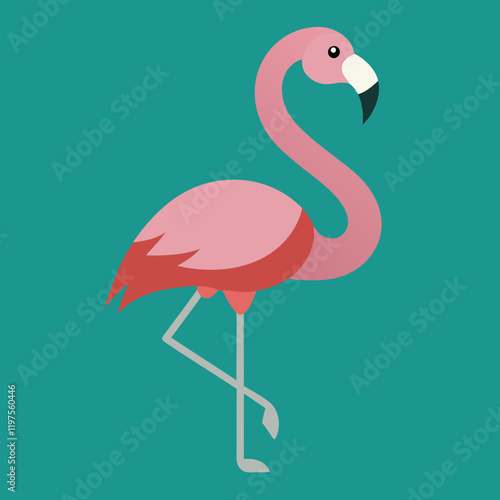 pink flamingo vector illustration