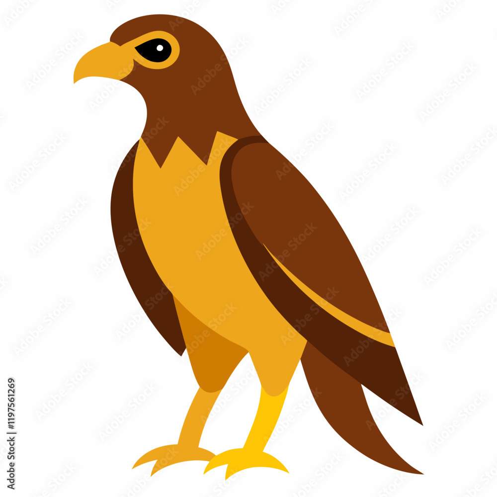 Fototapeta premium hawk on a white background