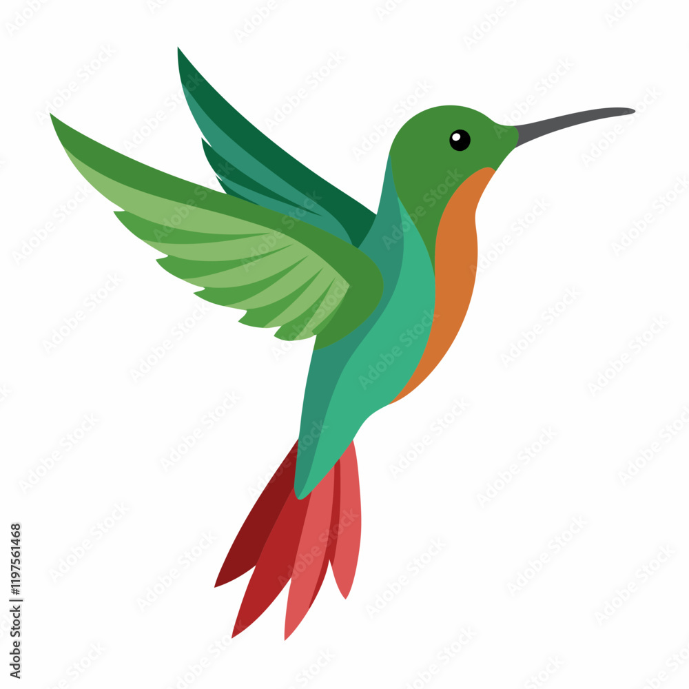 Obraz premium hummingbird vector art