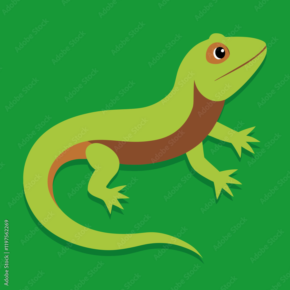 Obraz premium green lizard on white background