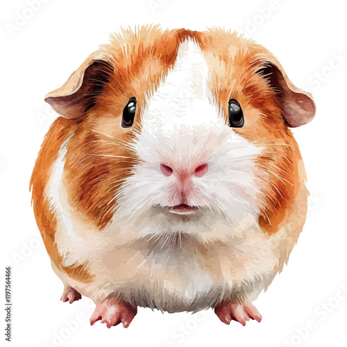 A watercolor of a guinea pig, isolated on a white background. Guinea pig vector.

