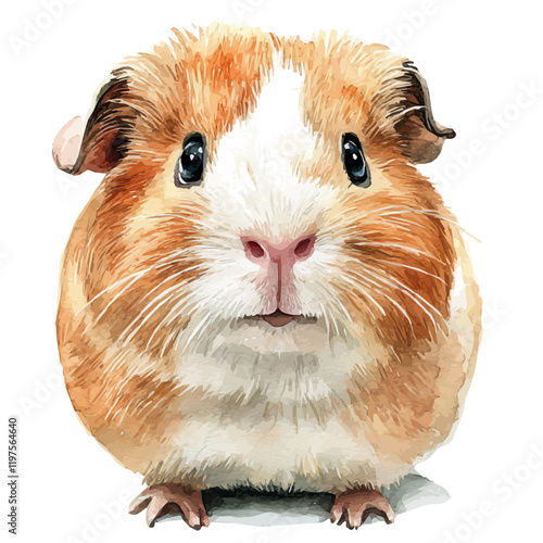 A watercolor of a guinea pig, isolated on a white background. Guinea pig vector.
