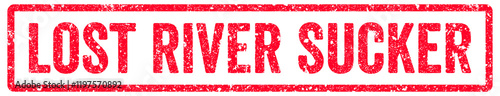 Lost River Sucker Stamp Transparent Seal, Red Grunge Lost River Sucker Word Rubber Stamp Seal