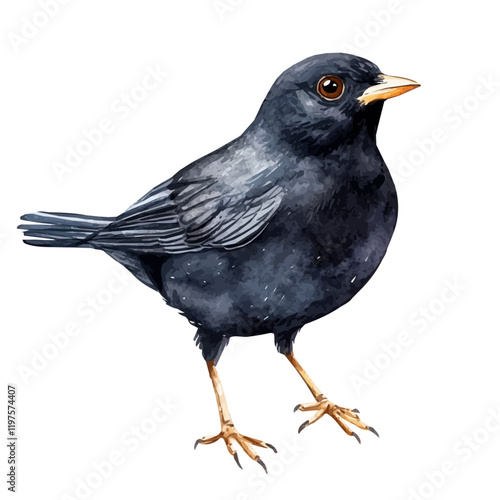 A watercolor painting of a blackbird, isolated on a white background. Blackbird vector.
