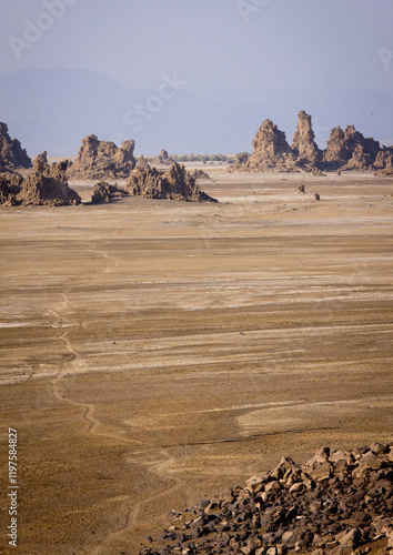 Afar Man And His Camels, Lake Abbe, Djibouti photo