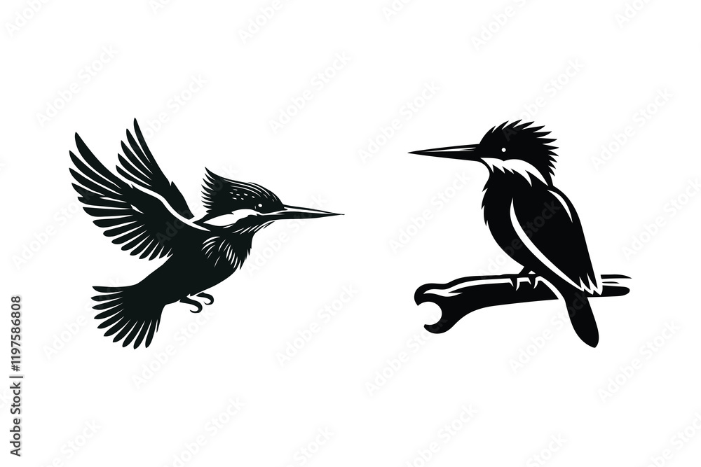 Fototapeta premium Kingfisher Silhouette Collection in Black, Vector Design