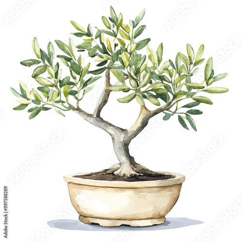 A watercolor drawing of a sweet olive bonsai, isolated on a white background. Sweet olive bonsai vector.
