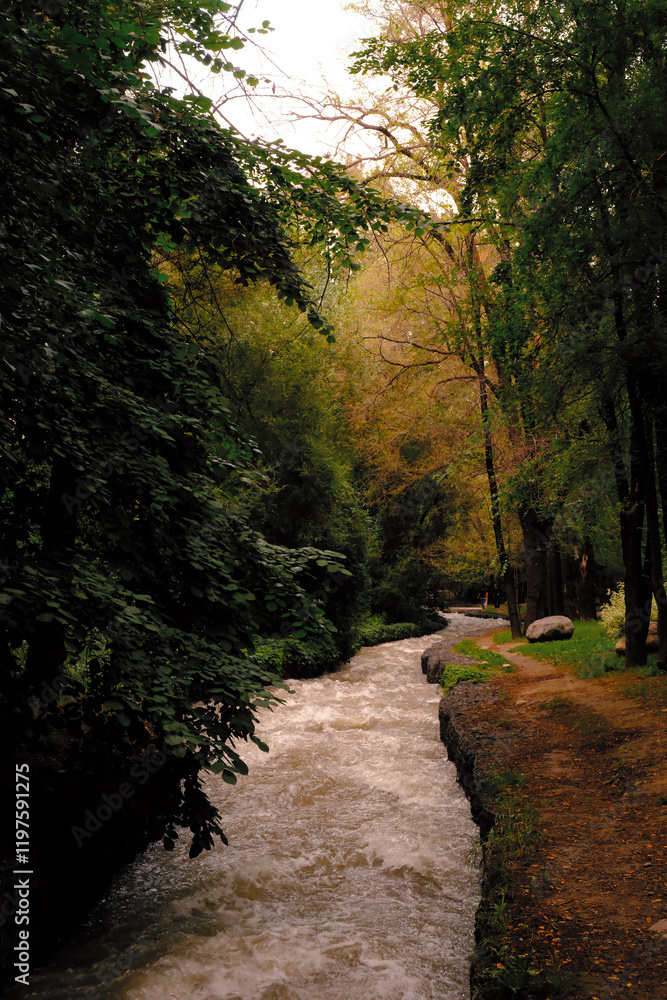 Obraz premium river in autumn