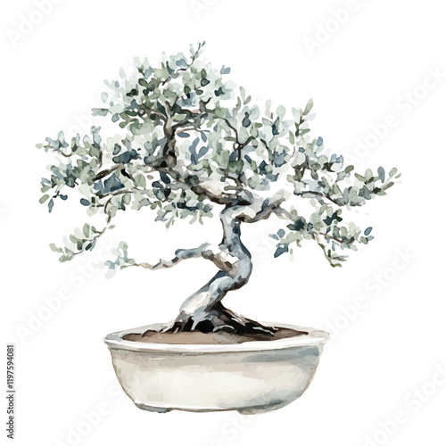 A watercolor of a silver buttonwood bonsai, isolated on a white background. Silver buttonwood bonsai vector.
