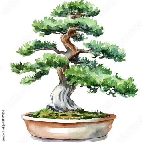 A watercolor painting of a sequoia bonsai, isolated on a white background. Sequoia bonsai vector.
