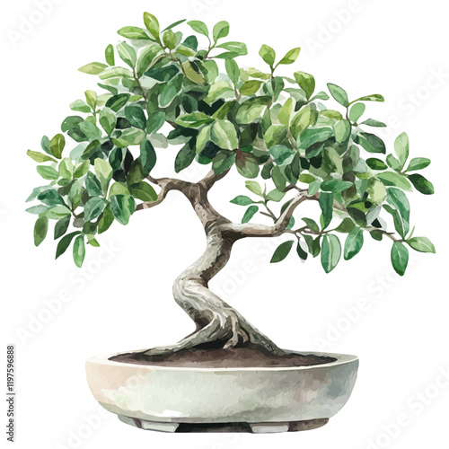 A watercolor drawing of a sassafras bonsai, isolated on a white background. Sassafras bonsai vector.
